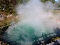 Yellowstone West Thumb Area (11).JPG